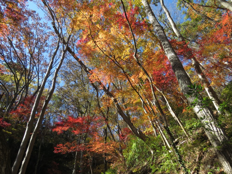 奥久慈・男体山